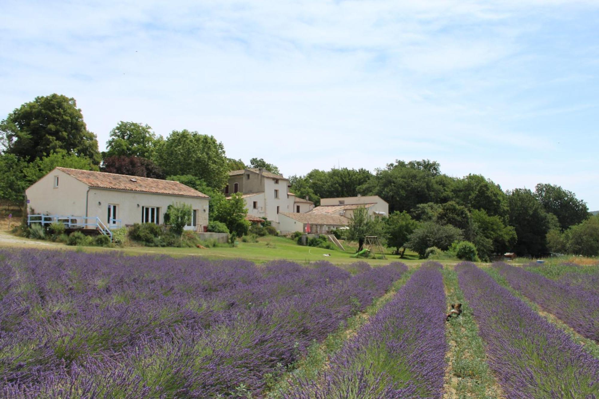 Hotel Les Anes De Forcalquier Exterior foto