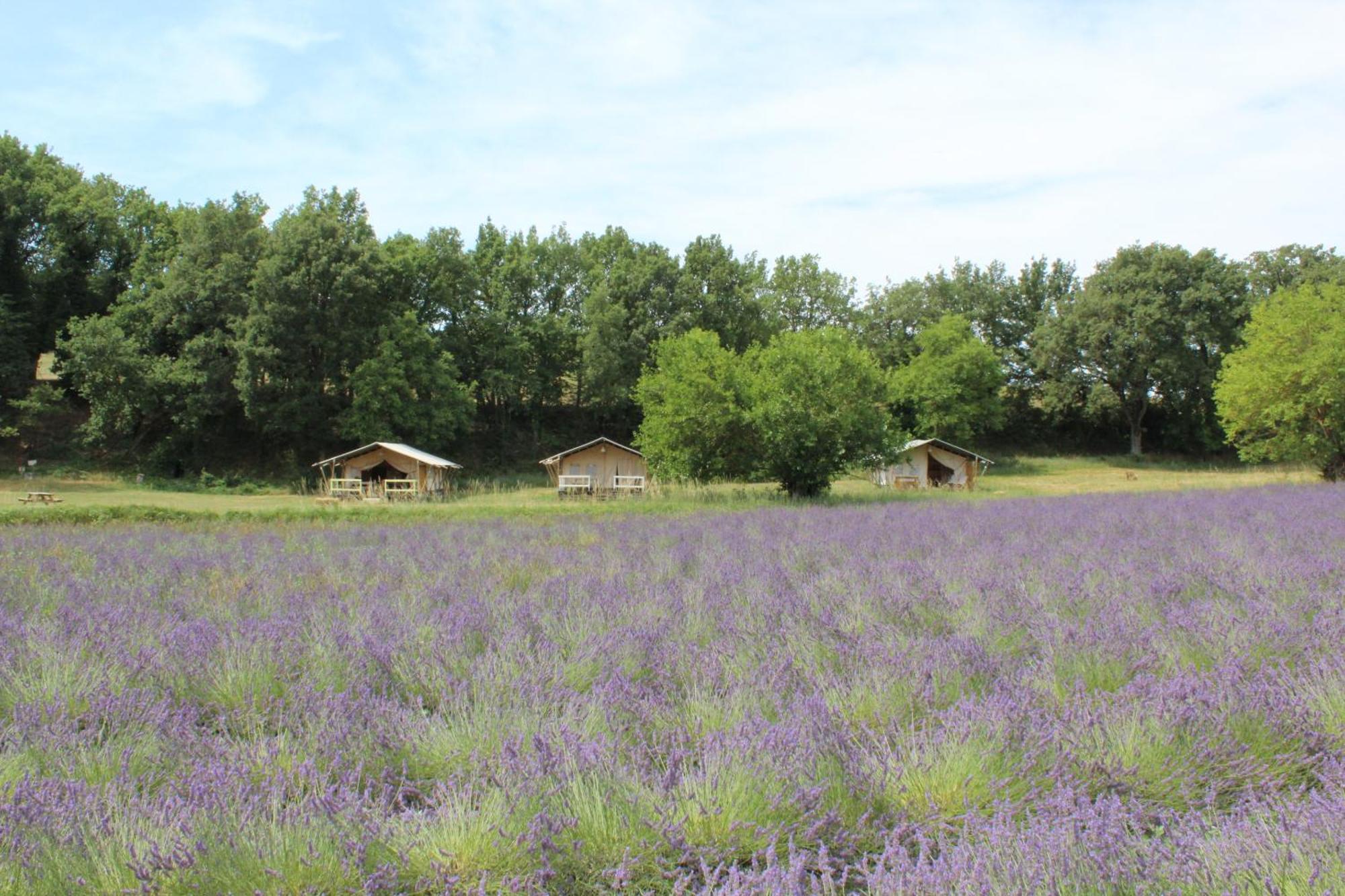 Hotel Les Anes De Forcalquier Exterior foto