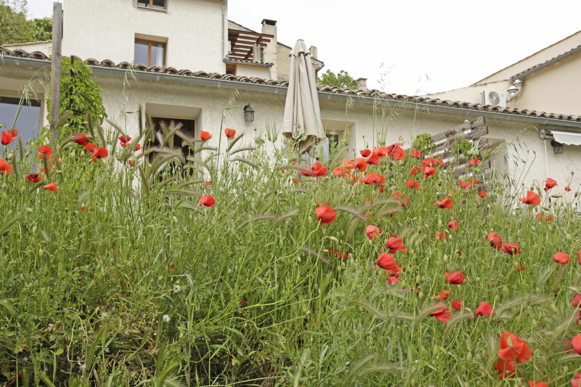 Hotel Les Anes De Forcalquier Zimmer foto